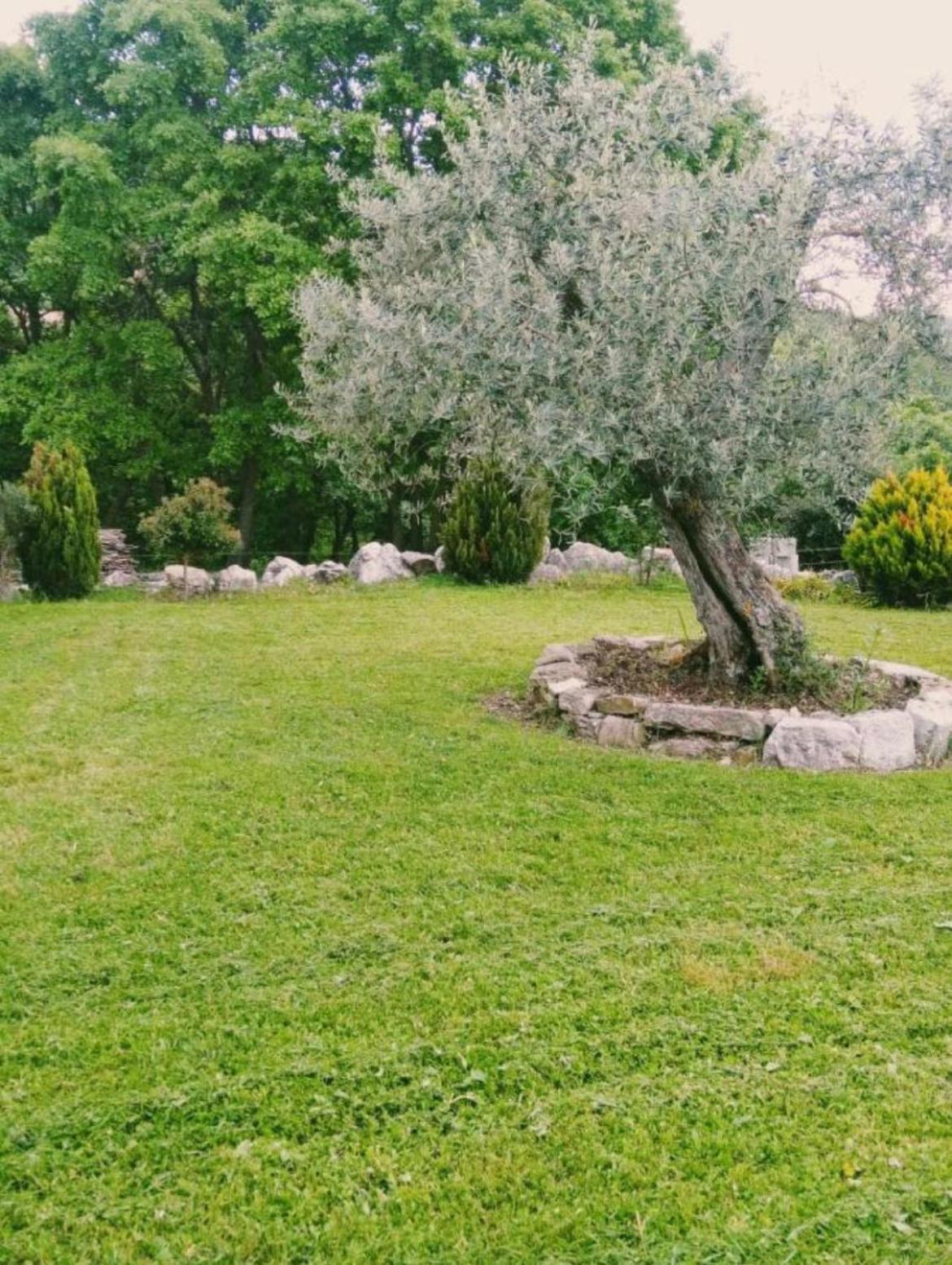 Residence San Martino Appartamento Mini Busso Экстерьер фото